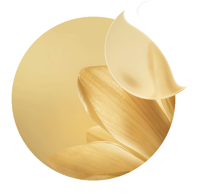 Zoom sur l'Achillée