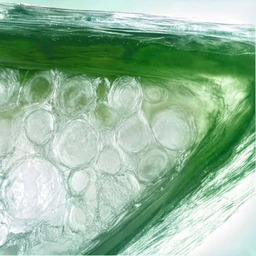 BB Crème Teintée Hydratante - Médium