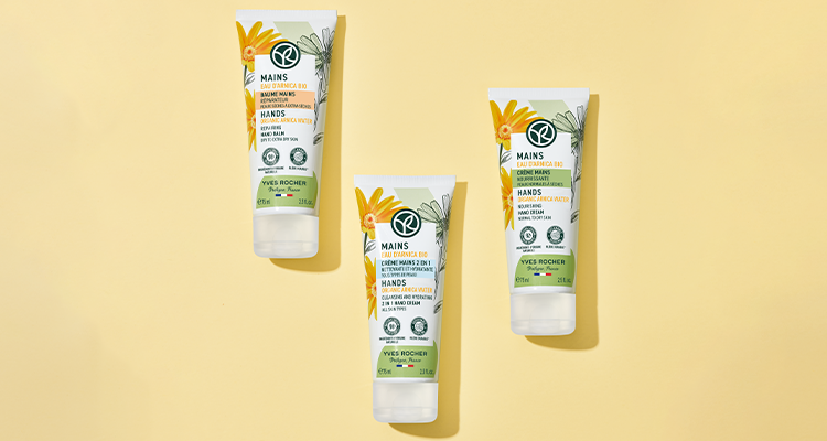 Les bienfaits de l’Arnica bio, du champ à mes mains