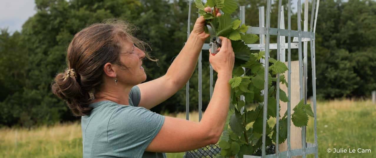 Woman pruning a plant