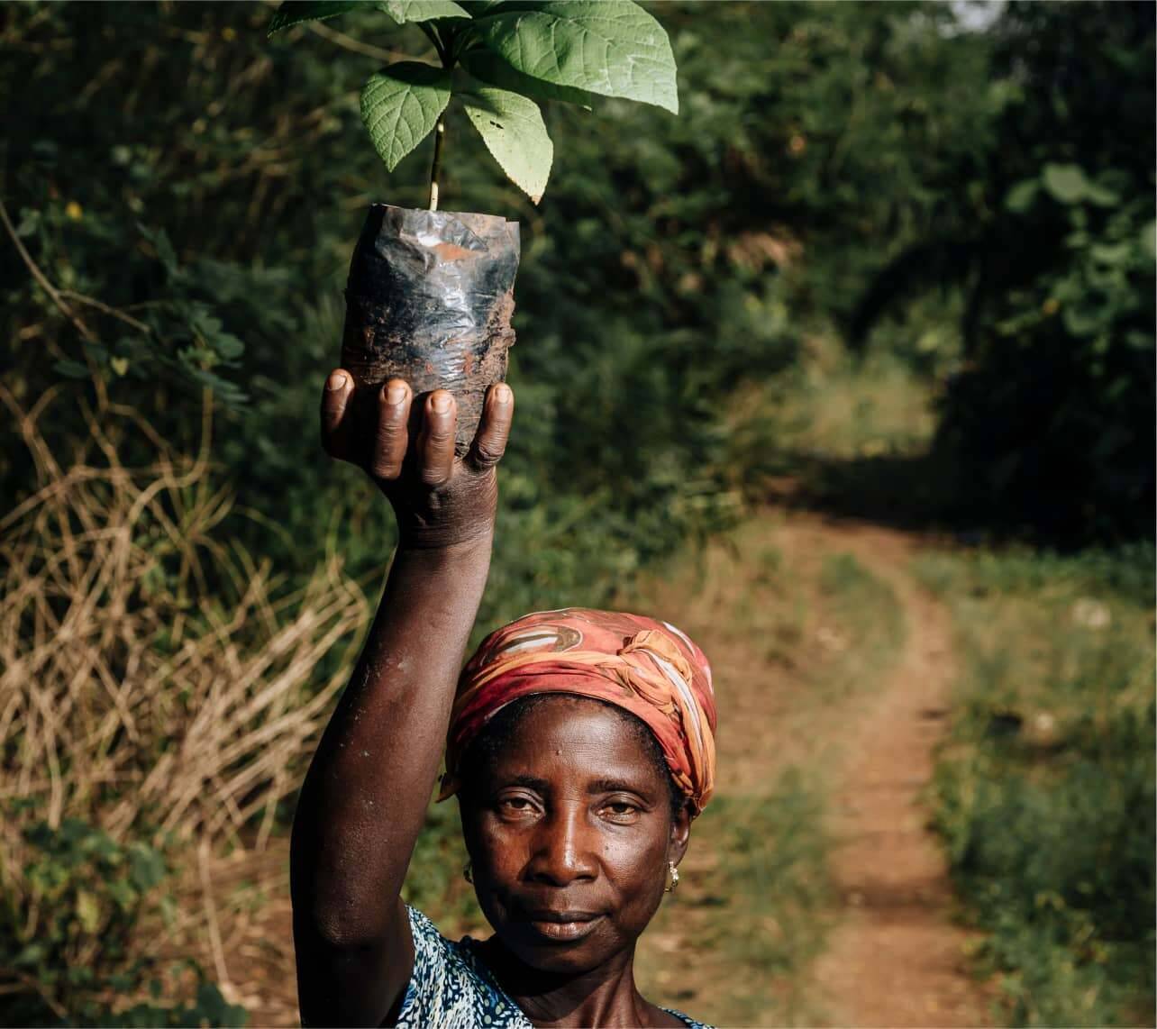 Woman carrying a tree sapling