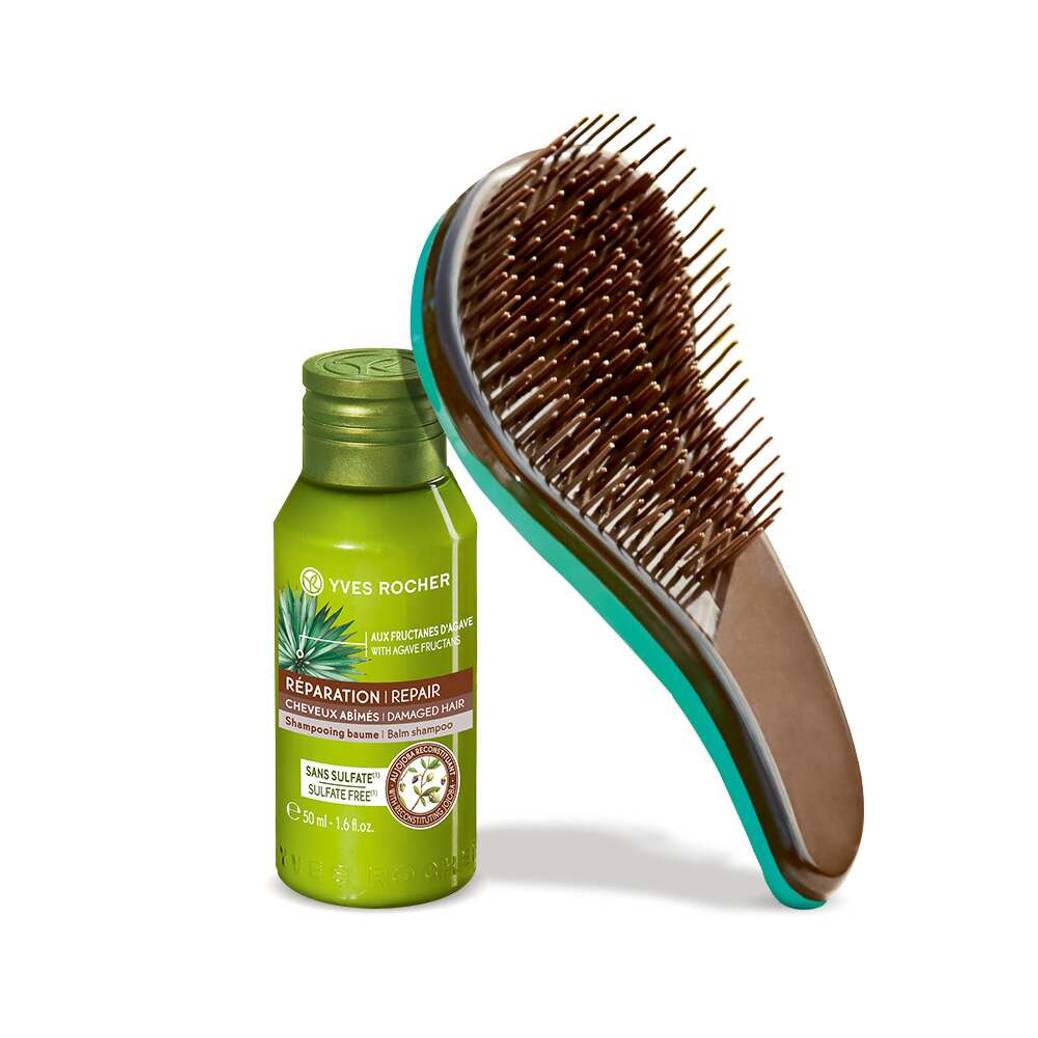 Your Shampoo + Hair Brush Duo