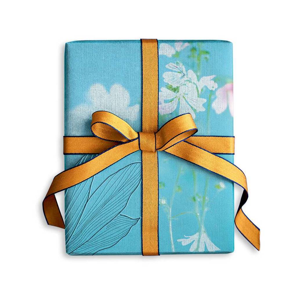 Your Surprise Gift