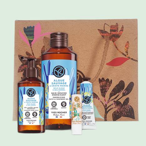 Discovery routine set - Wild Algae & Sea Fennel