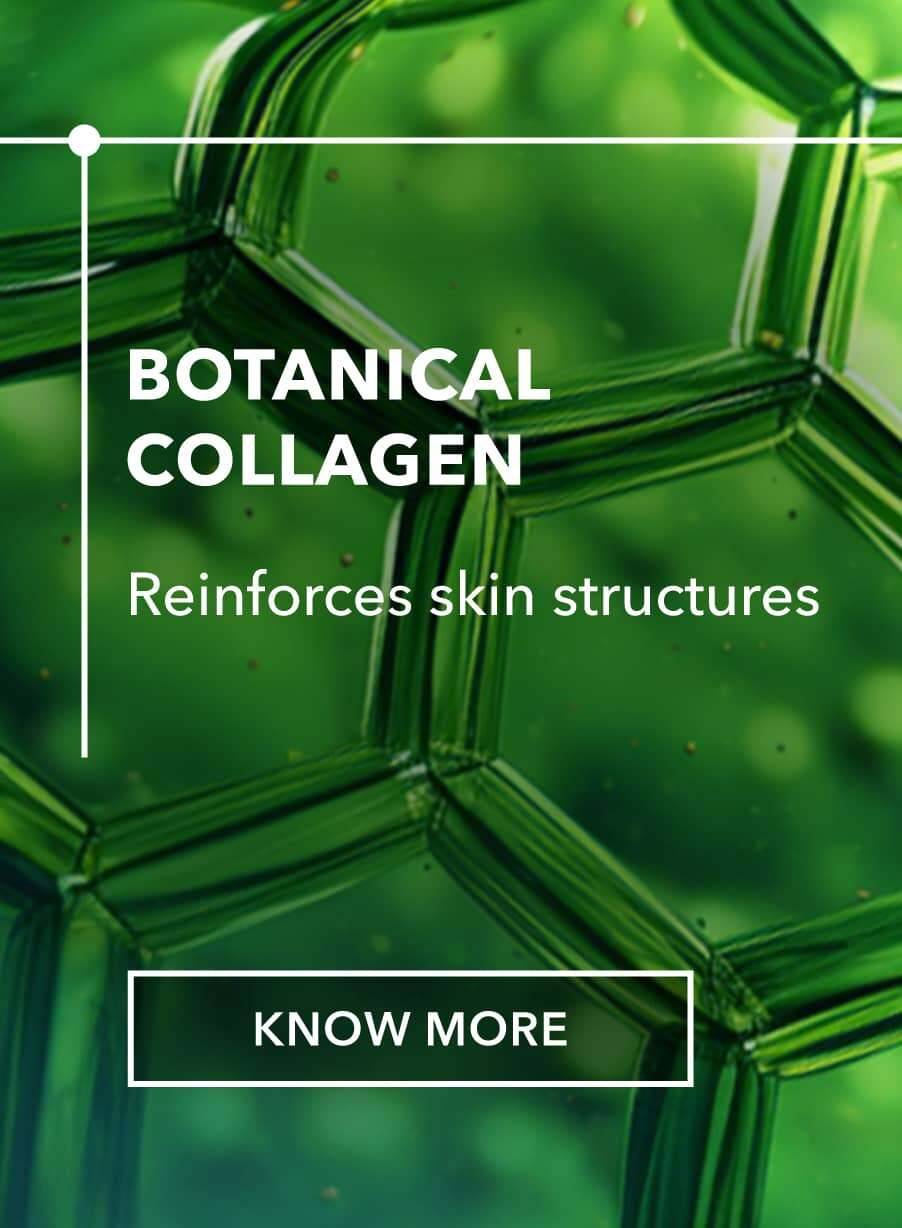 Collagène végétal