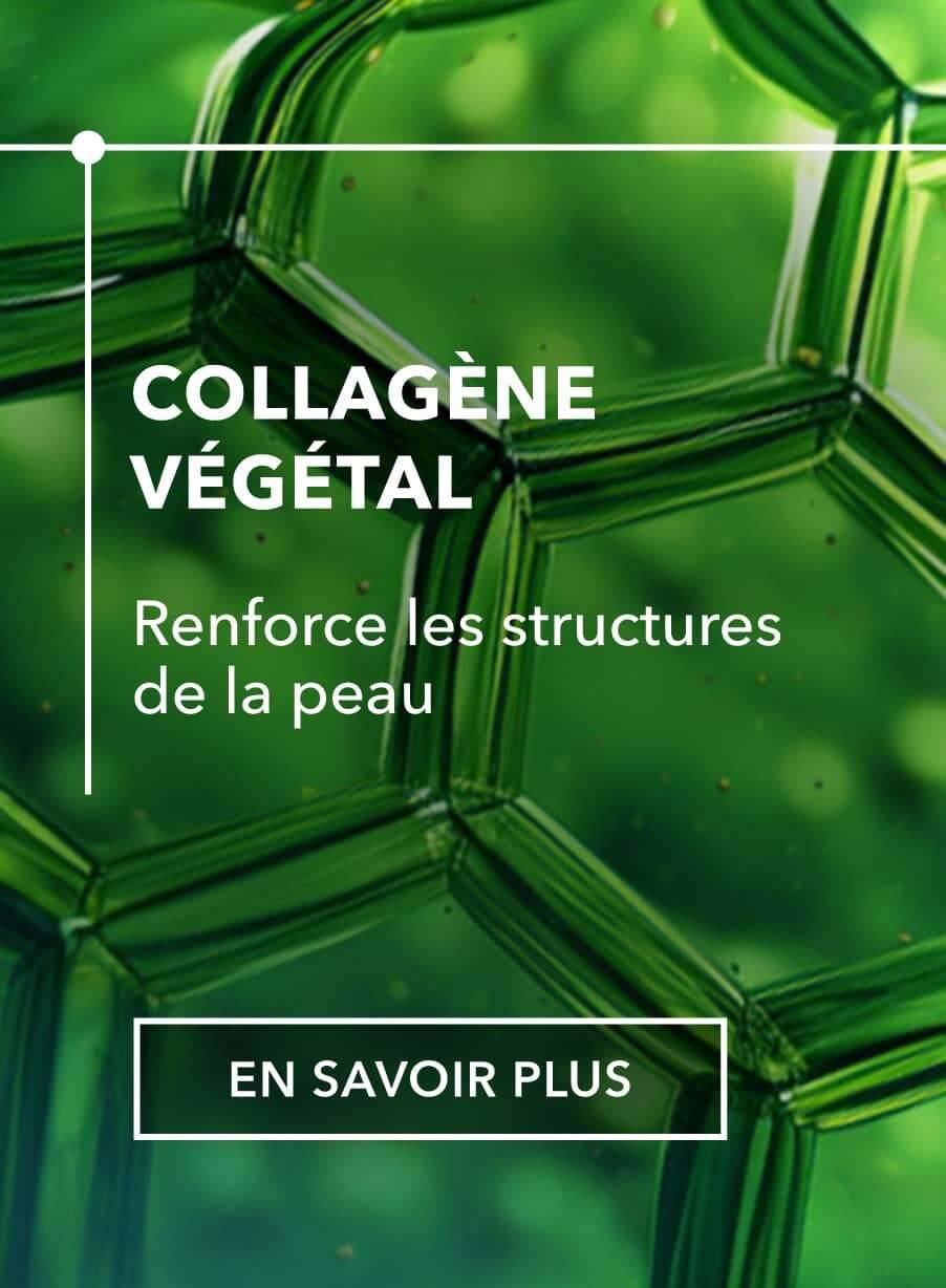 Collagène végétal