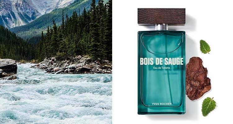 The intensity of an aromatic freshness