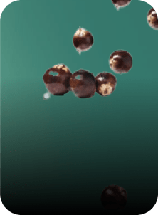 actif végétal d'açai par yves rocher