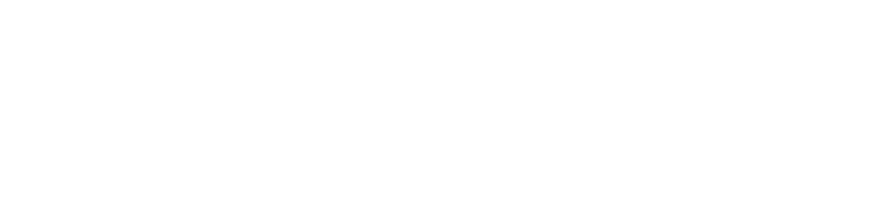 Offres des fêtes féeriques
