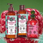 BUY 2 GET 1 FREE SELECTION