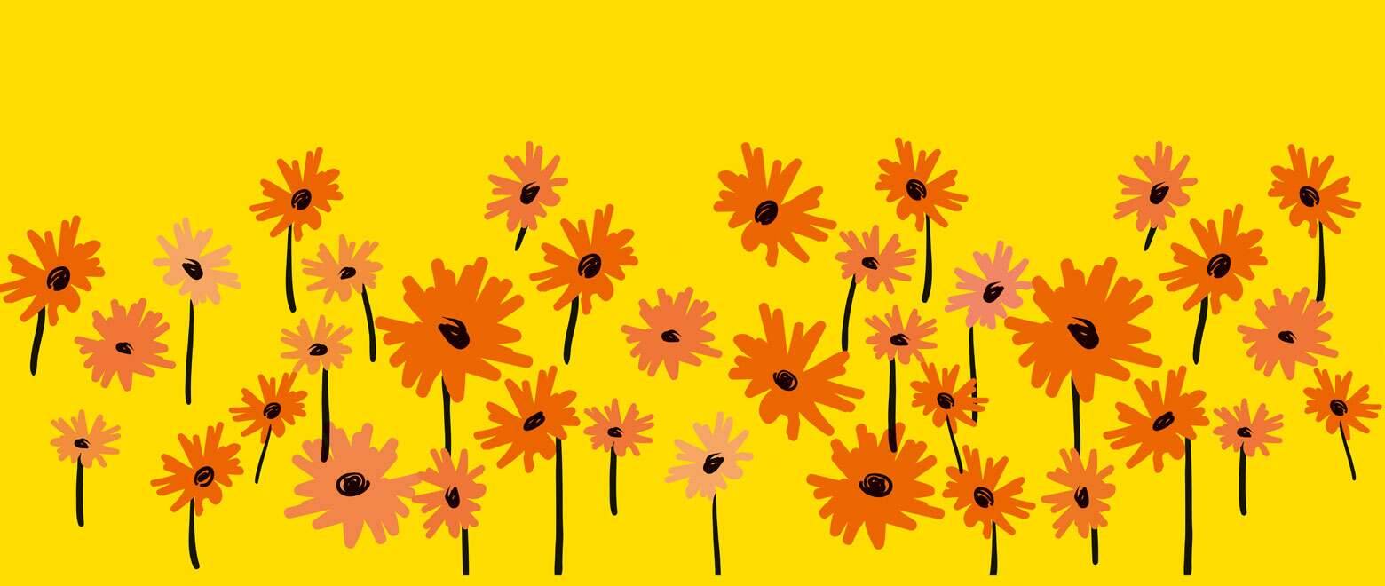 Calendula