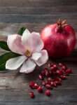 Pomegranate Magnolia