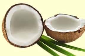 Coconut